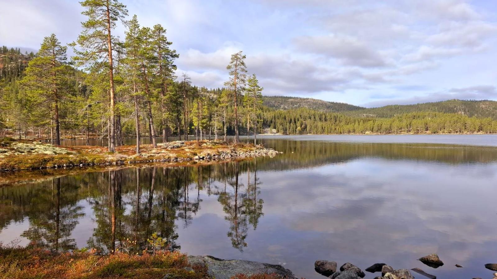 Villa Ka Stor Elvdal Koppang Eksteriør billede